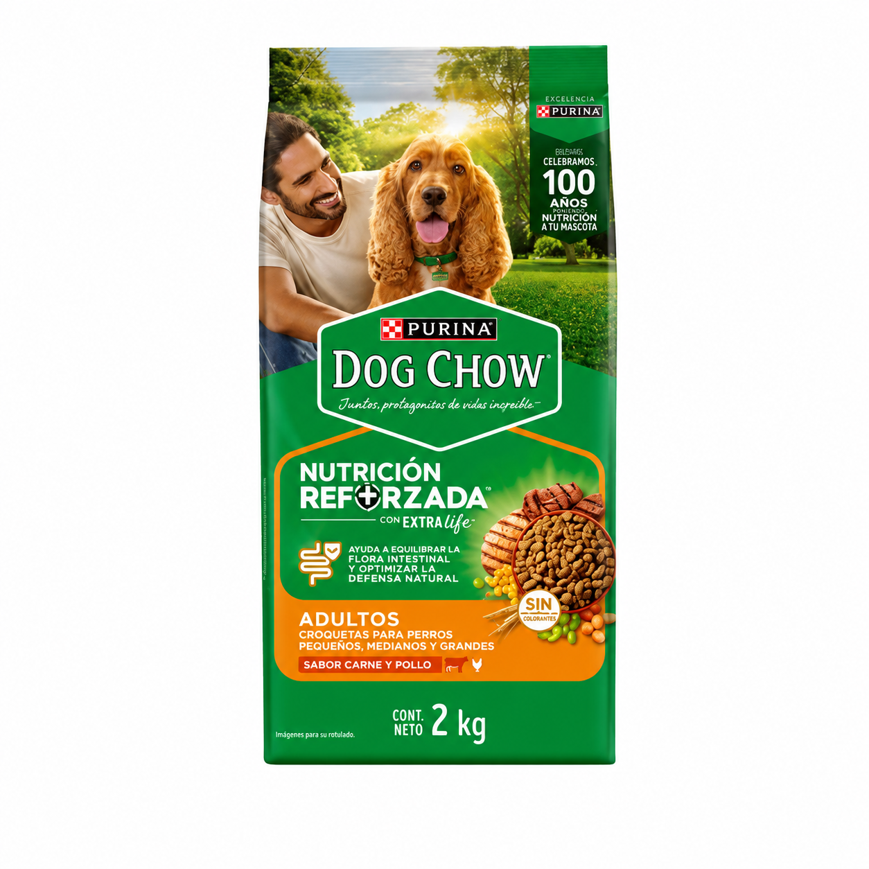 Alimento Seco Dog Chow Perros Adultos Pequeños, Medianos y Grandes Carne y Pollo 2 Kg